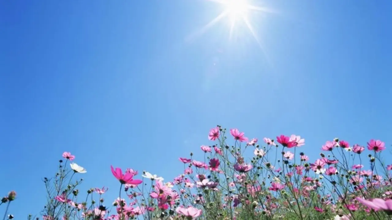 طقس لطيف يسيطر على الأجواء ودفء مرتقب حتى نهاية الأسبوع الحالي